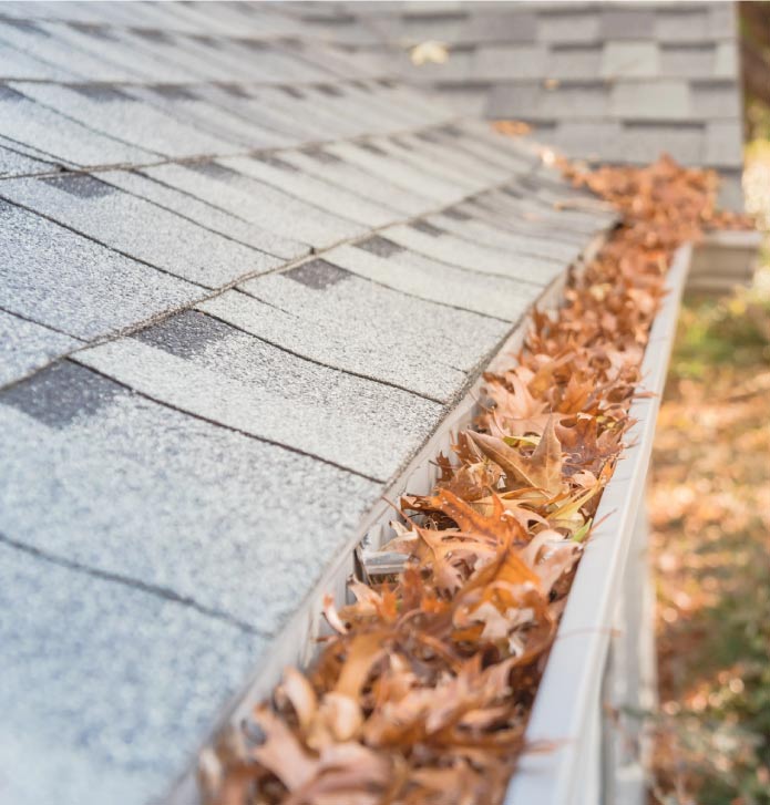 gutter full of leaves before gutter cleaning 