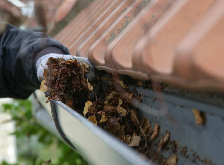 roofer from one way roofing from one way roofing performing gutter cleaning in hemet, ca